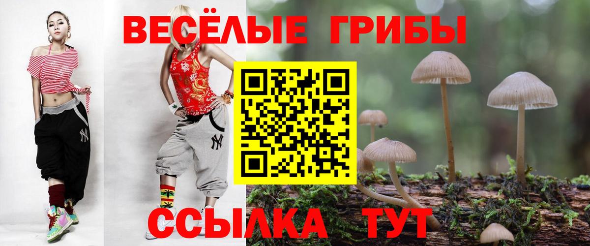 Галлюциногенные грибы GOLDEN TEACHER Карабулак
